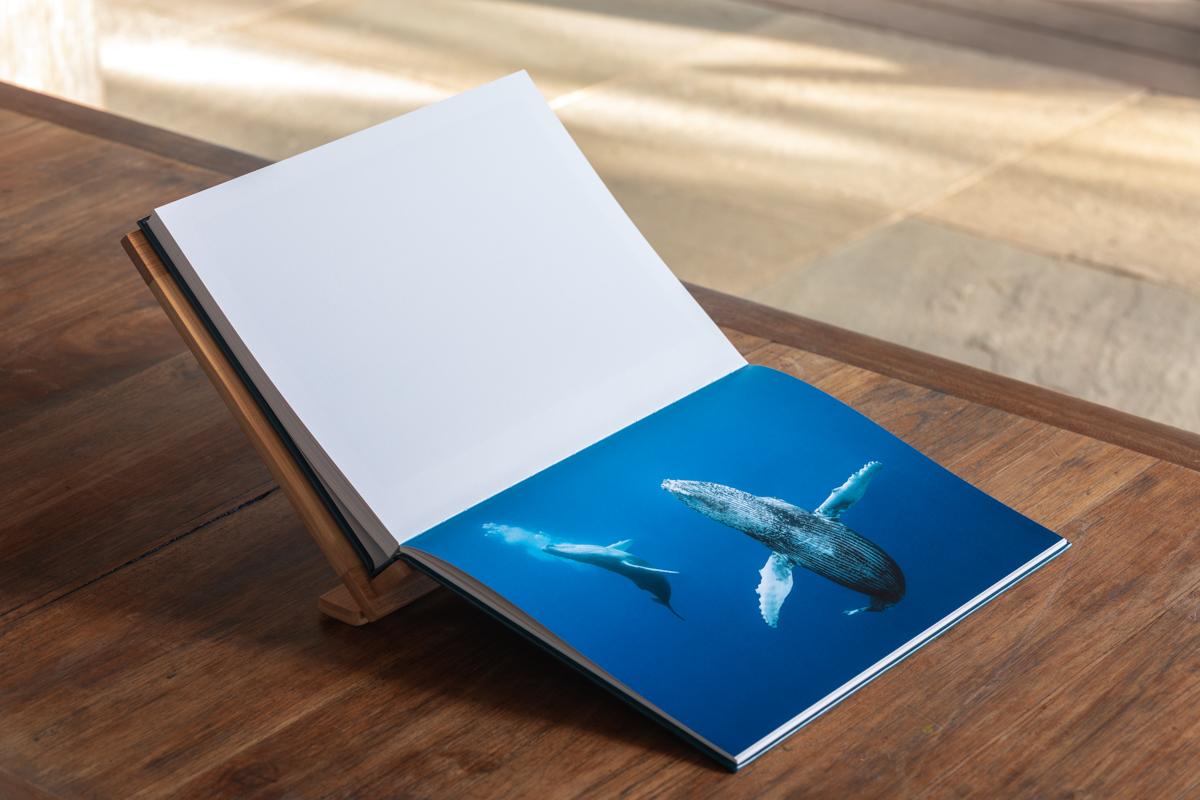 Dans l'intimité des baleines — Éric Lamblin