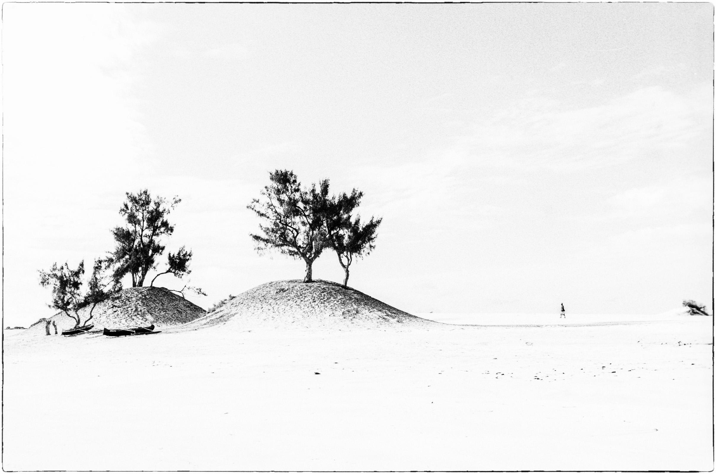 Gardiens des dunes