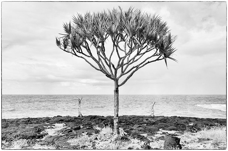 Ile de la Réunion